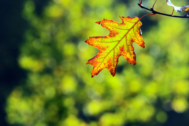 Similar image 375034