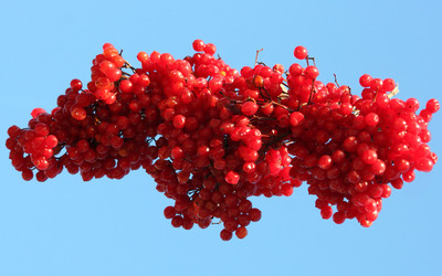 Similar image 375037