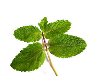 Similar image 375059