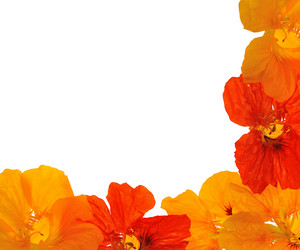 Similar image 375206