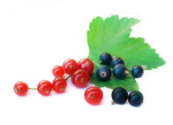 Similar image 375211