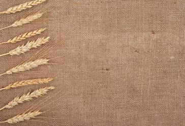 Similar image 375215