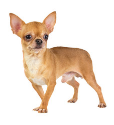 Similar image 375297