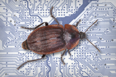 Similar image 375301