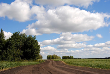 Similar image 375340