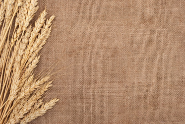 Similar image 375343