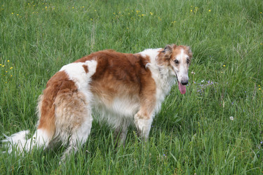 Similar image 375363