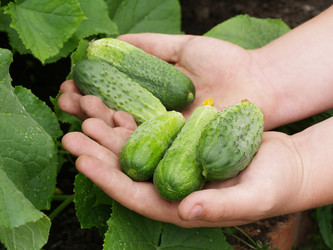 Similar image 375372