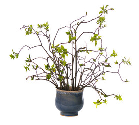 Similar image 375395