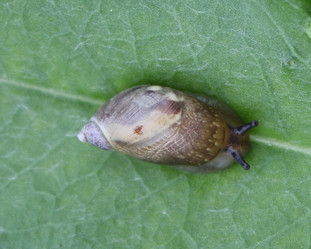 Similar image 375401