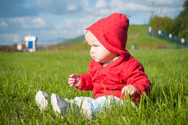 Similar image 375416