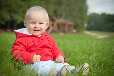 Similar image 375423