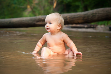 Similar image 375435