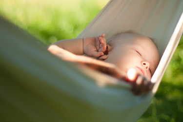 Similar image 375443