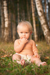 Similar image 375452