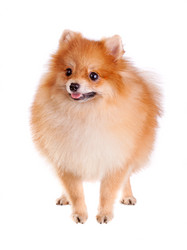 Similar image 375461