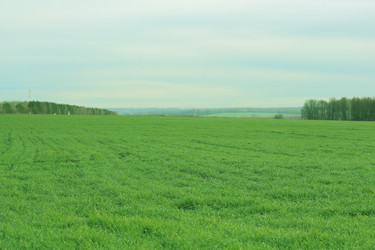 Similar image 375487