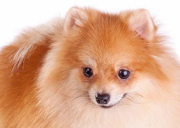 Similar image 375605