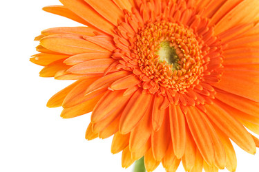 Similar image 375642