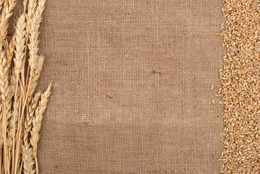 Similar image 375663