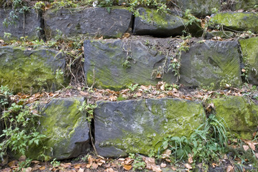 Similar image 375684