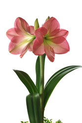 Similar image 375697