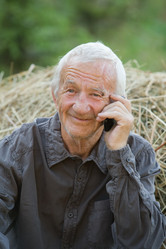 Similar image 375707