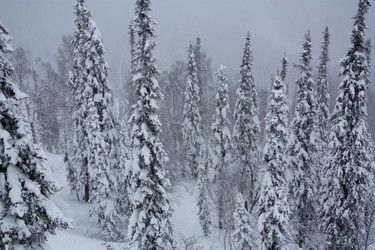 Similar image 375729