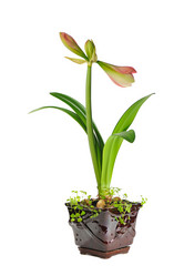 Similar image 375740