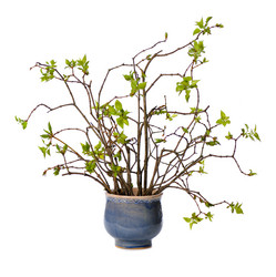 Similar image 375761