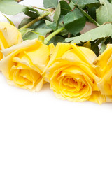 Similar image 375772