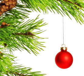 Similar image 375870