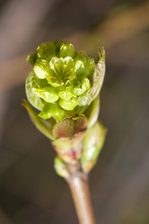 Similar image 375871