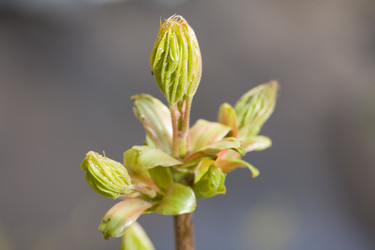 Similar image 375886