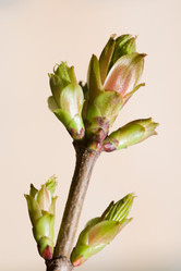 Similar image 375893