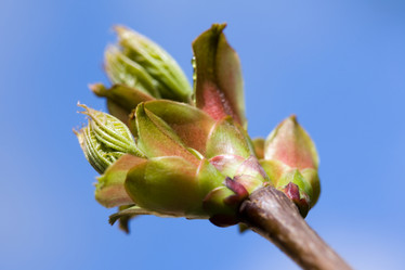 Similar image 375908