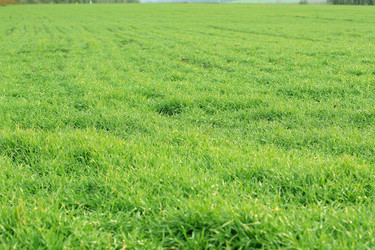 Similar image 375926