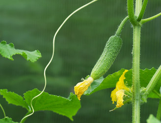 Similar image 376019