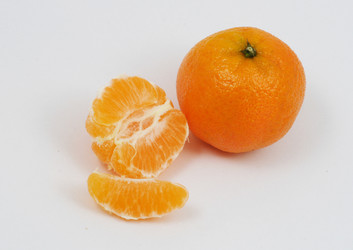 Similar image 376080