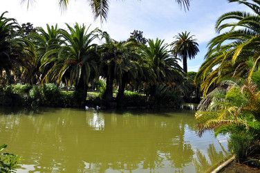 Similar image 376082