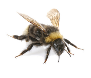 Similar image 376109