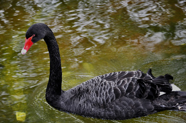 Similar image 376134