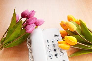 Similar image 376147