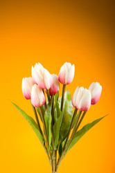 Similar image 376148