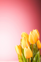 Similar image 376153