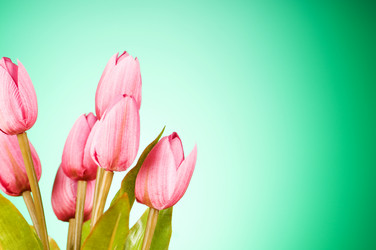 Similar image 376155