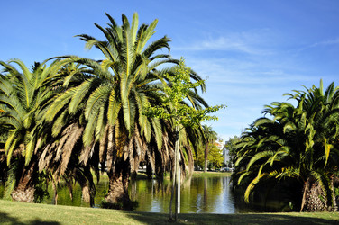 Similar image 376206