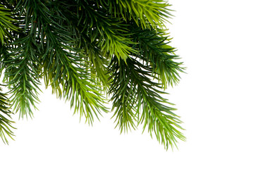 Similar image 376234