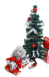 Similar image 376257