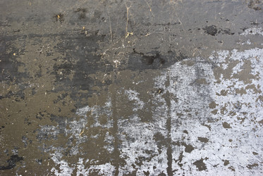 Similar image 376287